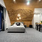 Lux Wolf Jacuzzi&sauna&grota Solna Guest house 3*