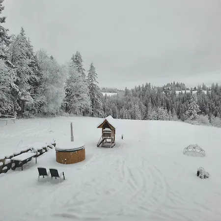 Guest house Lux Wolf Bukowina Tatrzanska
